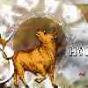 Taurus monthly Horoscope for July 2024 