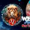 Leo week horoscope November 11—17, 2024