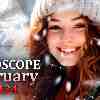 Horoscope for February 2024
