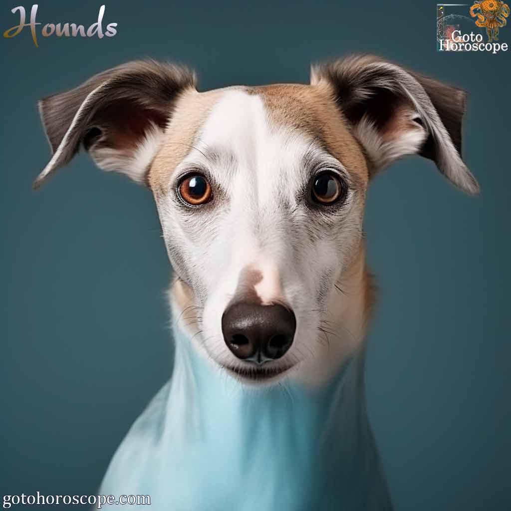 Dream Dictionary Hounds