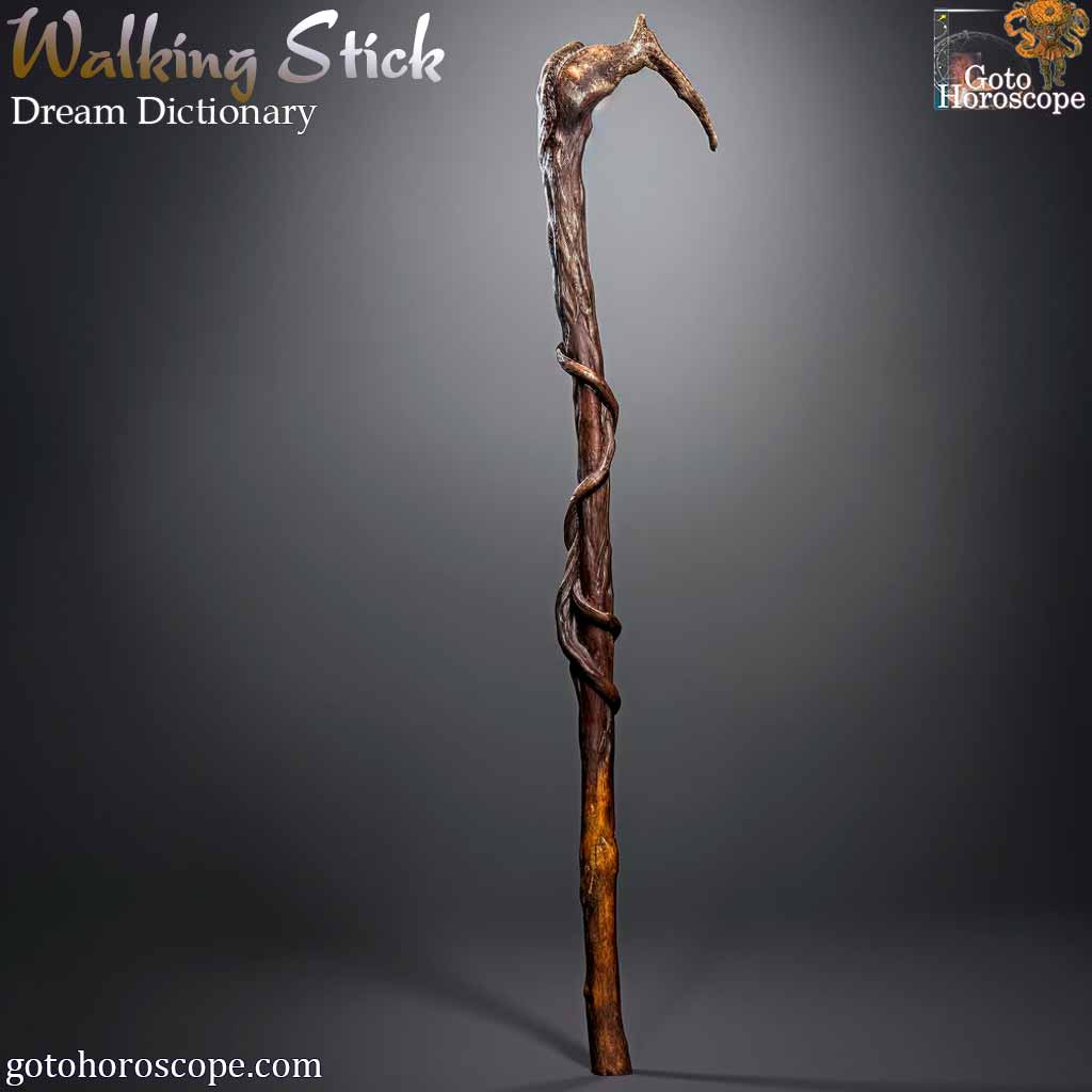 Dream Dictionary Walking Stick