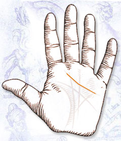 The Heart Line in Palmistry