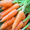 Dream Dictionary Carrots