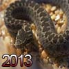 2013 Year of the Black Snake â€“ Chinese Horoscope