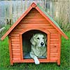 Dream Dictionary Dog house