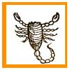 2016 Horoscope for Baby Scorpio