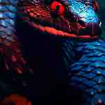 Dream Dictionary Asp