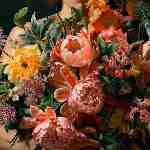 Dream Dictionary Blossoms