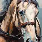 Dream Dictionary Bridle