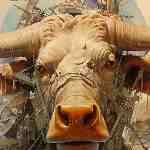 Dream Dictionary Bullock