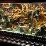 Dream Dictionary Chiffonier