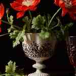 Dream Dictionary Claret Cup and Punch