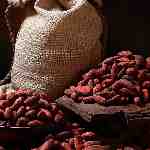 Dream Dictionary Cocoa