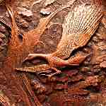 Dream Dictionary Copper Plate