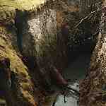 Dream Dictionary Ditch