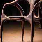 Dream Dictionary Ebony