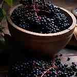 Dream Dictionary Elderberries