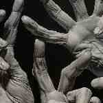 Dream Dictionary Fingers 