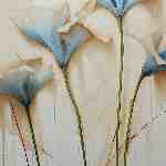 Dream Dictionary Flax