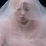 Dream Dictionary Gauze