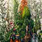 Dream Dictionary Herbs