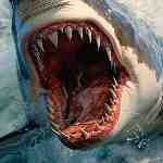 Dream Dictionary Jaws