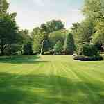 Dream Dictionary Lawns