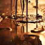 Dream Dictionary Leaking