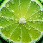 Dream Dictionary Lime