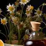 Dream Dictionary Linseed Oil