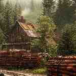 Dream Dictionary Lumber