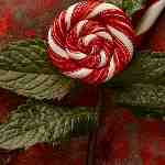 Dream Dictionary Peppermint