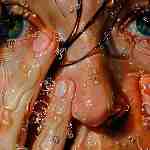 Dream Dictionary Perspiration