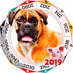 2019 Horoscope for Dog Zodiac Sign
