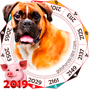 Dog 2019 Horoscope