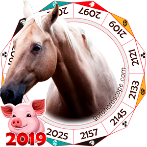 Horse 2019 Horoscope