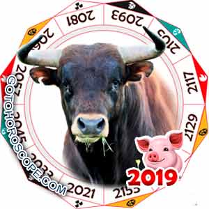 2019 Horoscope for Ox Zodiac Sign