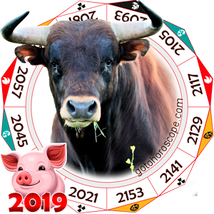 Ox 2019 Horoscope