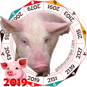 Pig 2019 Horoscope