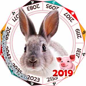 2019 Horoscope for Rabbit Zodiac Sign