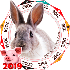 Rabbit 2019 Horoscope