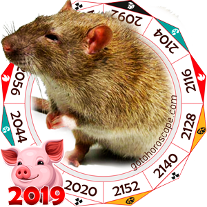 Rat 2019 Horoscope