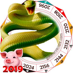 Snake 2019 Horoscope