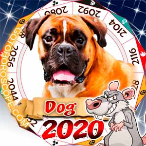 2020 Horoscope for Dog Zodiac Sign