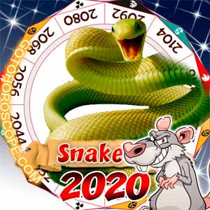 2020 Horoscope for Snake Zodiac Sign
