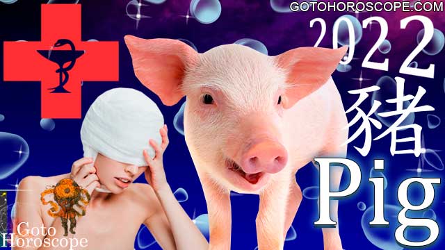Pig Horoscope 2022 for Health Sphere