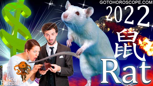 Rat Horoscope 2022 for Money Sphere