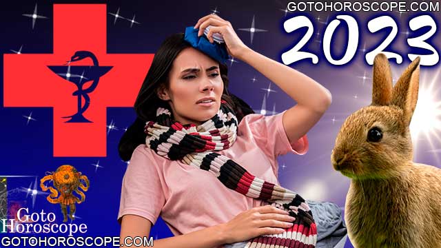 Chinese Horoscope 2023 for Health Sphere