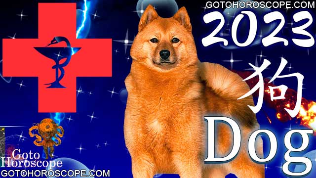 Dog Horoscope 2023 for Health Sphere