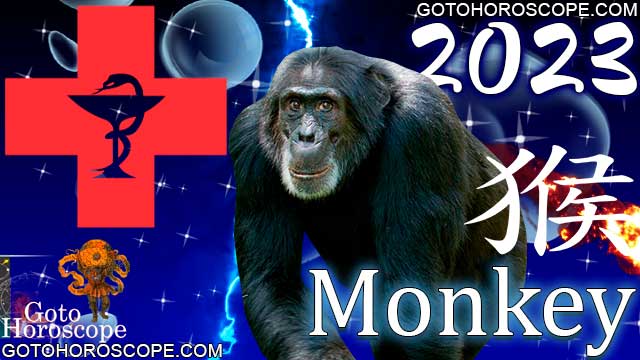 Monkey's Horoscope 2023 for Health Sphere